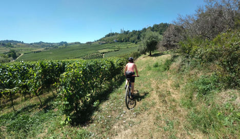 Mobirise